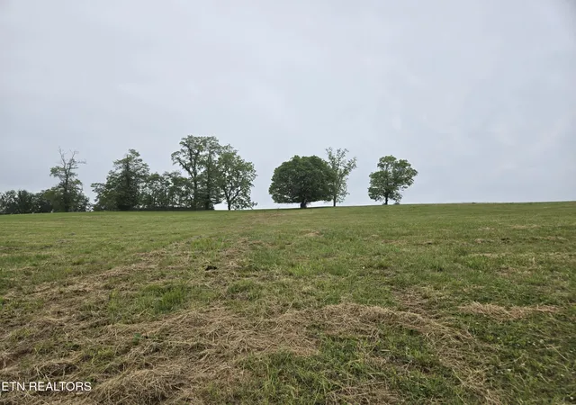 Homes for sale in Morristown, TN | 267 Waterview Way, Morristown, TN 37814 | MLS# 3232684