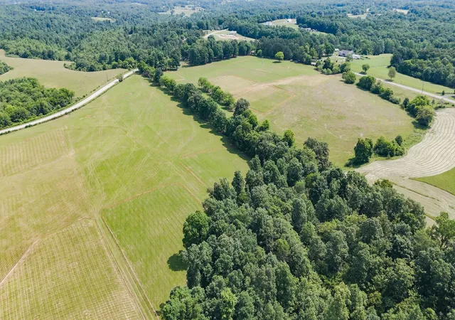 Homes for sale in Primm Springs, TN | 0 W Lick Creek Rd, Primm Springs, TN 38476 | MLS# 2887846