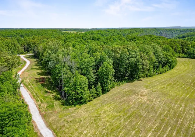 Photo 3 of Land for sale at 7h Potts Camp Rd, Smithville, TN 37166 | MLS# 2871574 | Listing updated on 2026-10-02