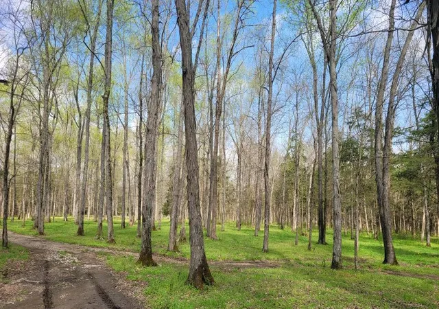 Photo 3 of Land for sale at 5 Pass Rd, Shelbyville, TN 37160 | MLS# 2871920 | Listing updated on 2026-06-11