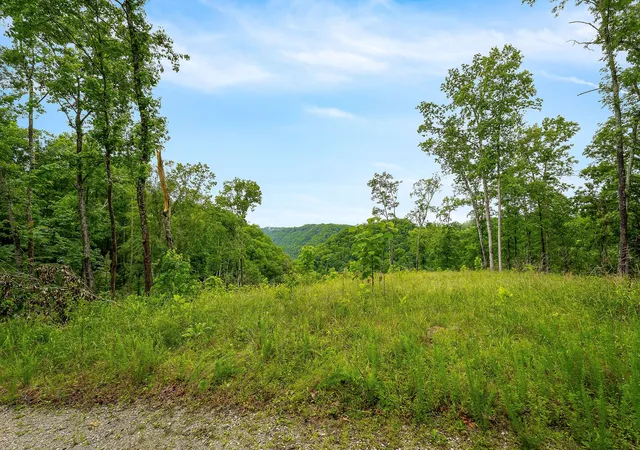 Photo 4 of Land for sale at 0 Knowles Ln, Sparta, TN 38583 | MLS# 2896768 | Listing updated on 2026-10-08