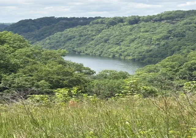 Photo 3 of Land for sale at 0 Knowles Ln, Sparta, TN 38583 | MLS# 2896768 | Listing updated on 2026-10-08