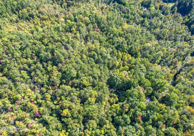 Photo 3 of Land for sale at 0 0 Branam Hollow Road Off, Gatlinburg, TN 37738 | MLS# 3278445 | Listing updated on 2026-09-21