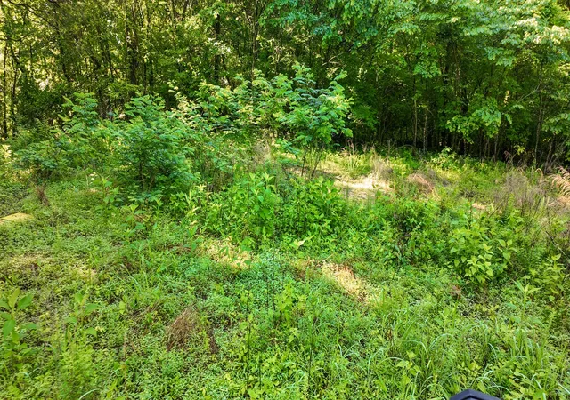 69th image of 2 Angels Cove Lane, Lebanon, TN 37087 | MLS# 2884030