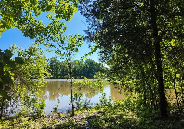 5th image of 3 Angels Cove Lane, Lebanon, TN 37087 | MLS# 2884029