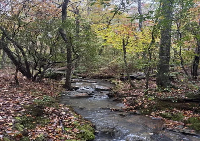 2nd image of 2795 Raulston Falls Road, Jasper, TN 37347 | MLS# 2885403