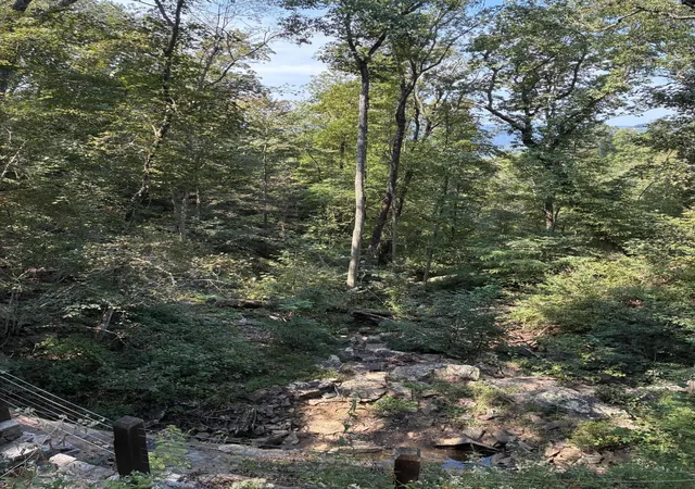 96th image of 2795 Raulston Falls Road, Jasper, TN 37347 | MLS# 2885403