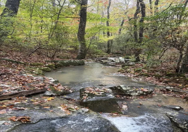 1st image of 2795 Raulston Falls Road, Jasper, TN 37347 | MLS# 2885403
