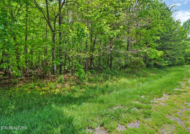 17th image of 0 Emerald Pl Lot 6, Monterey, TN 38574 | MLS# 3112210