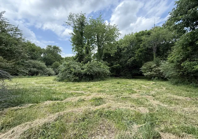 Homes for sale in Mayfield, KY | 0 Linwood Dr, Mayfield, KY 42066 | MLS# 2886042