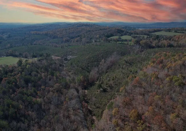 4th image of 0 Big Sewee Lot 5 Road, Decatur, TN 37322 | MLS# 2886185