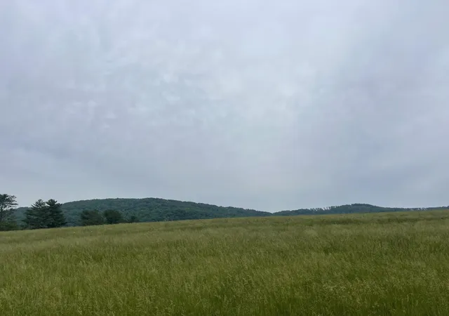 3rd image of 496 Aultville Trail, Pikeville, TN 37367 | MLS# 2887087