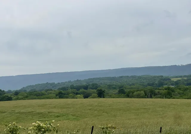 4th image of 496 Aultville Trail, Pikeville, TN 37367 | MLS# 2887087