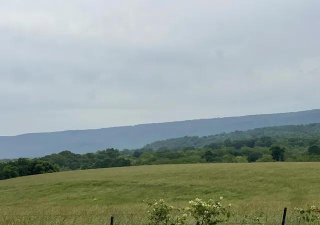 5th image of 496 Aultville Trail, Pikeville, TN 37367 | MLS# 2887087
