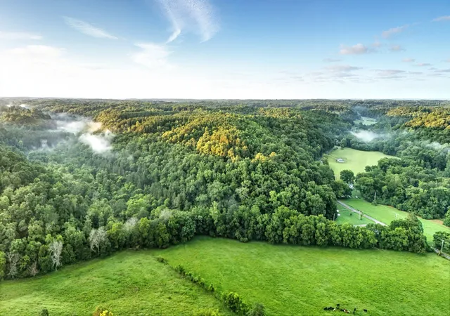 Homes for sale in Goodspring, TN | 0 West Hollow Rd, Goodspring, TN 38460 | MLS# 2929018
