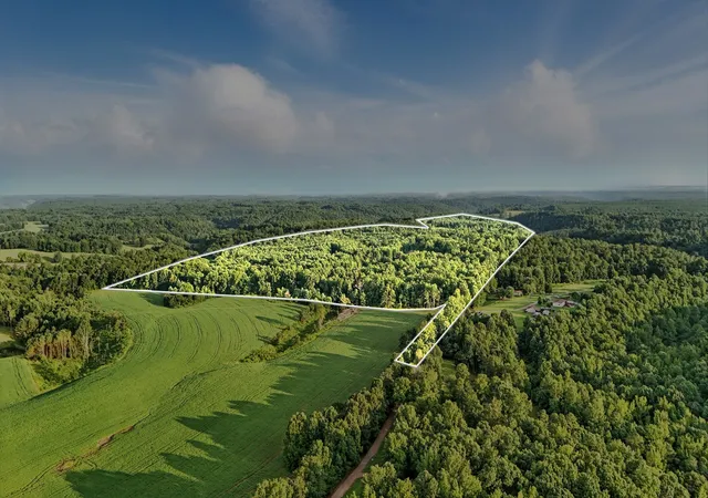 Homes for sale in Goodspring, TN | 0 West Hollow Rd, Goodspring, TN 38460 | MLS# 2929018