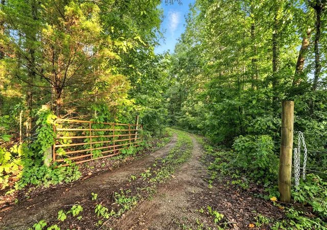 Homes for sale in Goodspring, TN | 0 West Hollow Rd, Goodspring, TN 38460 | MLS# 2929018