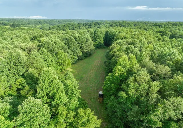 Homes for sale in Goodspring, TN | 0 West Hollow Rd, Goodspring, TN 38460 | MLS# 2929018