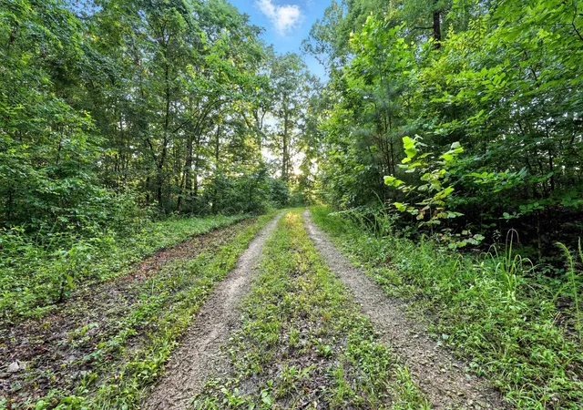 Homes for sale in Goodspring, TN | 0 West Hollow Rd, Goodspring, TN 38460 | MLS# 2929018