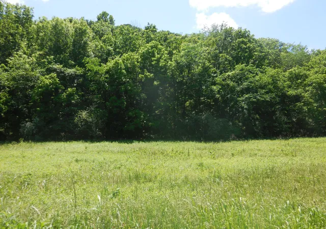 Homes for sale in Gainesboro, TN | 1222 Hopkins Hollow, Gainesboro, TN 38562 | MLS# 2888307