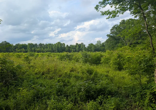 Homes for sale in Bell Buckle, TN | 0 Sudberry Road, Bell Buckle, TN 37020 | MLS# 2888687