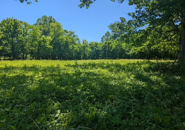 Homes for sale in Bell Buckle, TN | 0 Sudberry Road, Bell Buckle, TN 37020 | MLS# 2888687