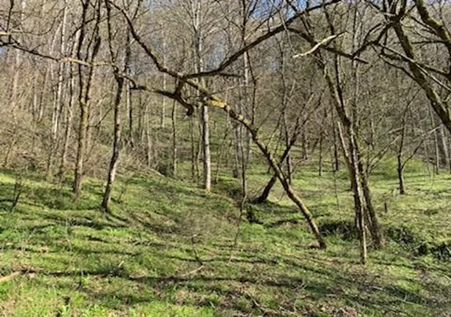 Homes for sale in Pleasant Shade, TN | 662 Wilmore Hollow Rd, Pleasant Shade, TN 37145 | MLS# 2888896