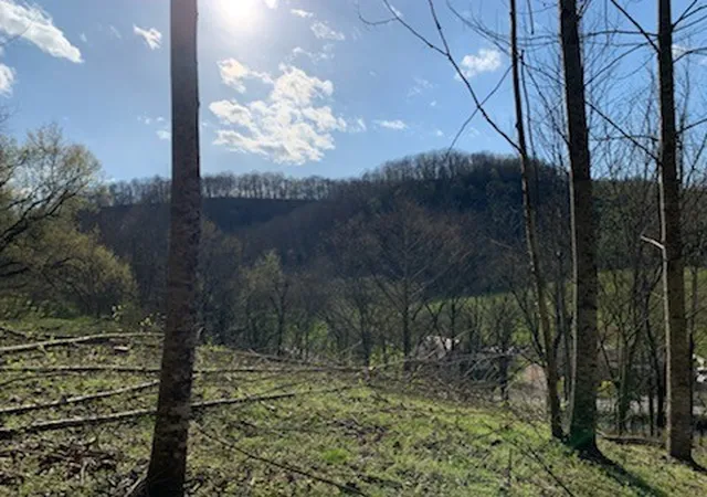 Homes for sale in Pleasant Shade, TN | 662 Wilmore Hollow Rd, Pleasant Shade, TN 37145 | MLS# 2888896