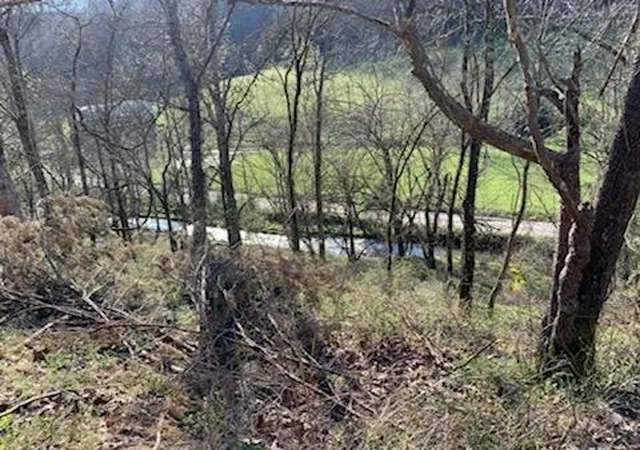 Homes for sale in Pleasant Shade, TN | 662 Wilmore Hollow Rd, Pleasant Shade, TN 37145 | MLS# 2888896