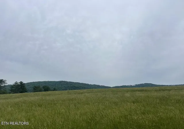 2nd image of 496 Aultville Tr, Pikeville, TN 37367 | MLS# 2918854