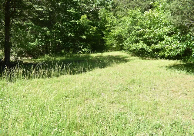 Homes for sale in Carthage, TN | 0 Ballenger Rd, Carthage, TN 37030 | MLS# 2889869