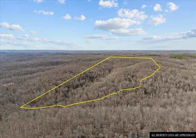 Photo 1 of Land for sale at 0 W Of Magnolia Rd, Stewart, TN 37175 | MLS# 2889836 | Listing updated on 2025-11-05