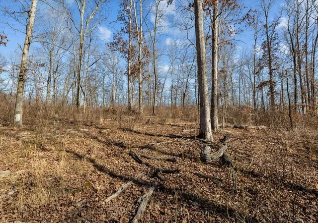 Photo 3 of House for sale at 0 W Of Magnolia Rd, Stewart, TN 37175 | MLS# 2889836 | Listing updated on 2025-11-05