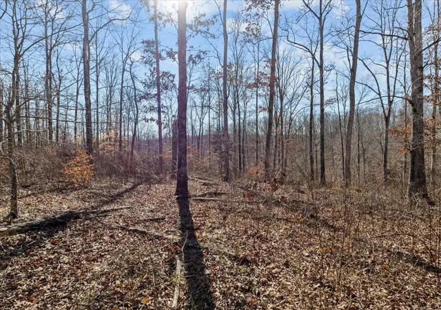 Photo 4 of House for sale at 0 W Of Magnolia Rd, Stewart, TN 37175 | MLS# 2889836 | Listing updated on 2025-11-05