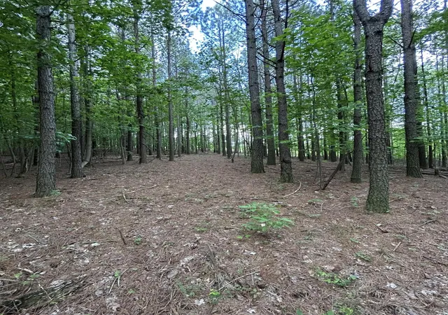 4th image of 464 Moonlight Lane, Jasper, TN 37347 | MLS# 2889826