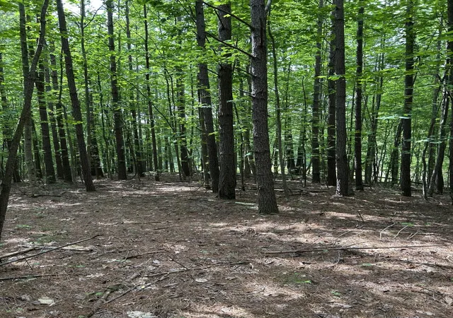 5th image of 464 Moonlight Lane, Jasper, TN 37347 | MLS# 2889826