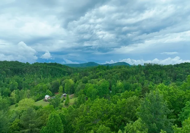 Homes for sale in Tellico Plains, TN | 200 Peachtree Lane, Tellico Plains, TN 37385 | MLS# 3214717