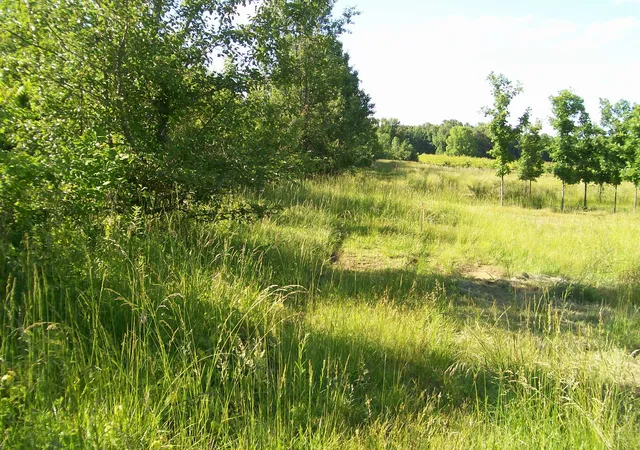 Photo 2 of Land for sale at 1028 Hennessee Bridge Rd, Rock Island, TN 38581 | MLS# 2890980 | Listing updated on 2026-05-26