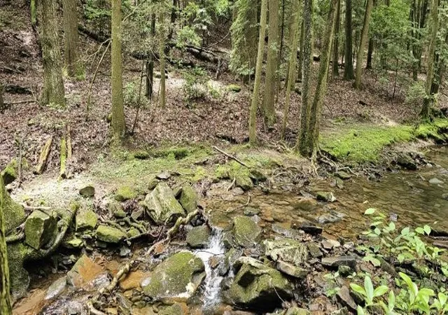 4th image of 0 Oak Leaf Lane, Dunlap, TN 37327 | MLS# 2970781