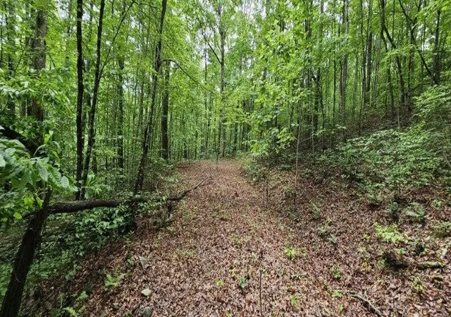 5th image of 0 Oak Leaf Lane, Dunlap, TN 37327 | MLS# 2970781