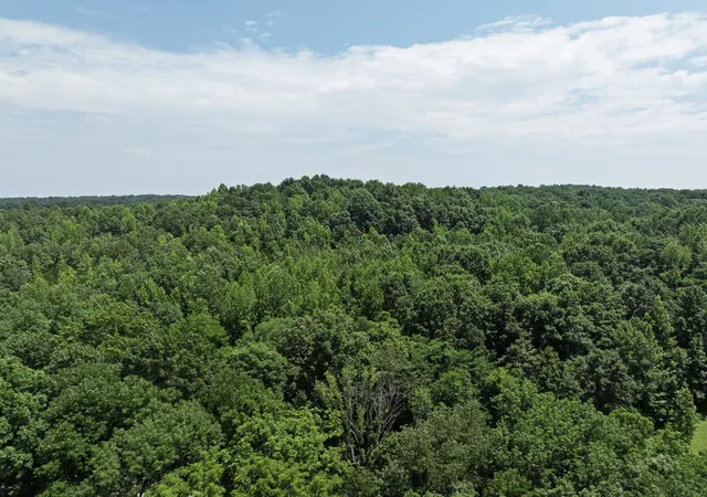 Photo 2 of Land at 0 Batson Rd, Cunningham, TN 37052 | MLS# 2908512 | | Sold on 2026-02-17
