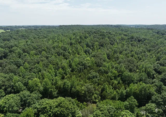 Photo 3 of Land at 0 Batson Rd, Cunningham, TN 37052 | MLS# 2908512 | | Sold on 2026-02-17
