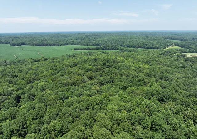 Land at 0 Batson Rd, Cunningham, TN 37052 | MLS# 2908512 | | Sold on 2026-02-17