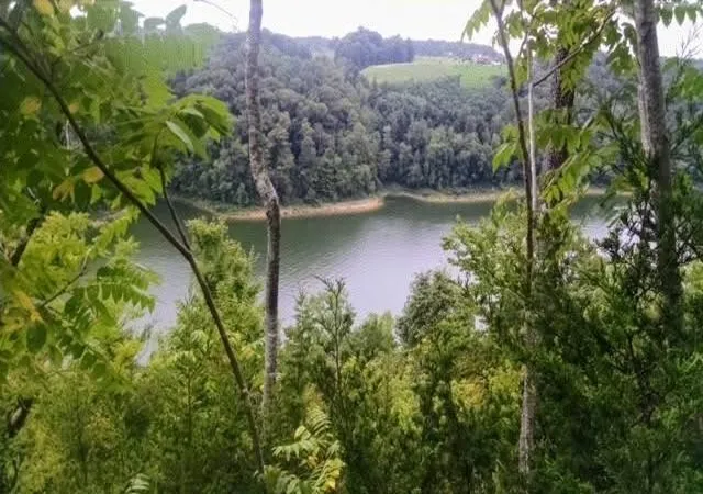 Homes for sale in Sparta, TN | 0 Cedar Creek Road, Sparta, TN 38583 | MLS# 2899226