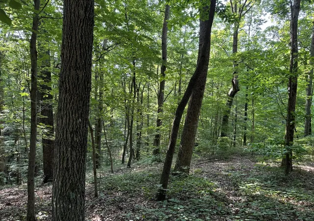 5th image of 3692 Pan Gap Circle, Chattanooga, TN 37419 | MLS# 2898303