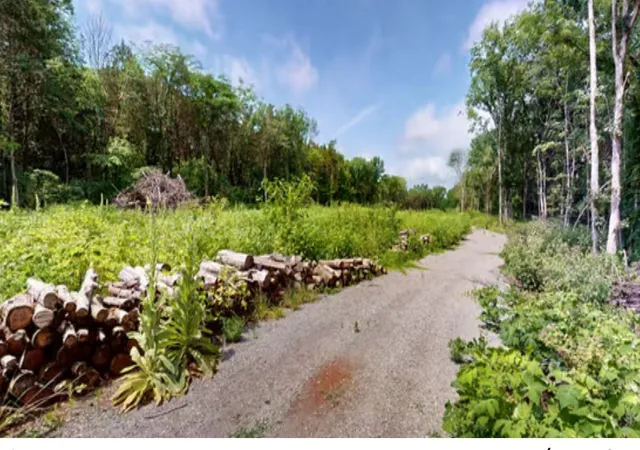 3rd image of 5660 Seminary Rd, Smyrna, TN 37167 | MLS# 2898410