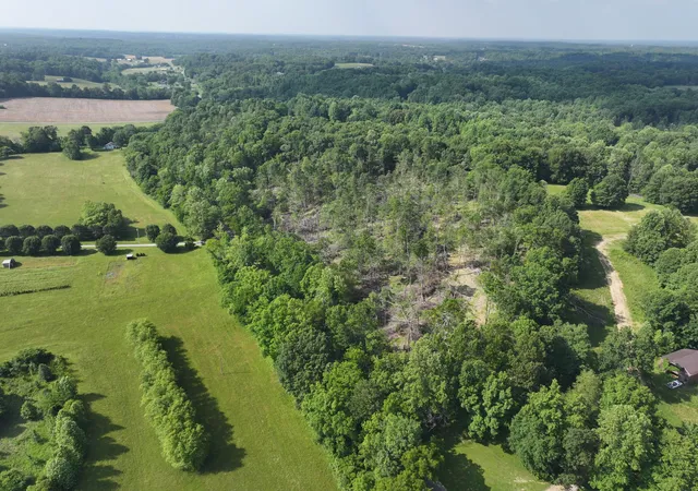4th image of 0 Rock Bridge Road, Bethpage, TN 37022 | MLS# 2898496