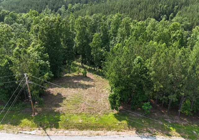 3rd image of 944 Hillbrook Dr, Linden, TN 37096 | MLS# 2899793