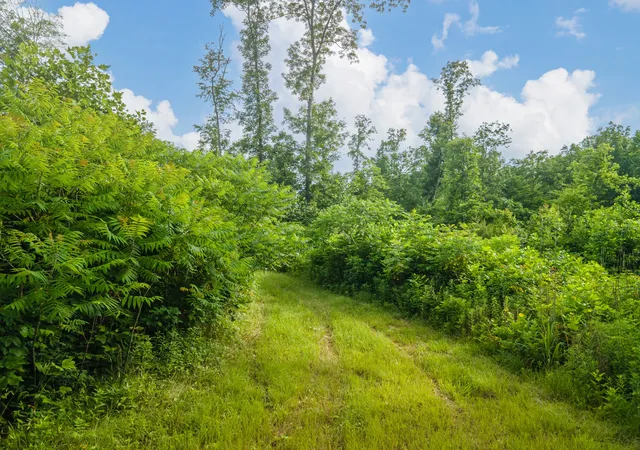 53rd image of 152 Cascade Spring Rd, Hohenwald, TN 38462 | MLS# 2900501