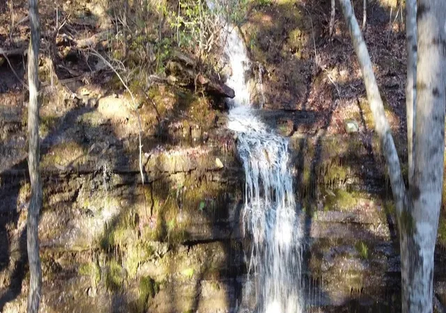 2nd image of 202122 Camp Creek Rd, Spencer, TN 38585 | MLS# 2899217